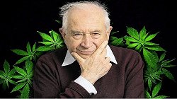 Dr. Rafael Mechoulam- The Grandfather of Drug Marijuana!