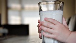 Ask The Experts: Incredible Benefits of Milk